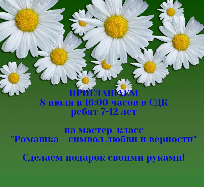 "Ромашка - символ любви и верности"